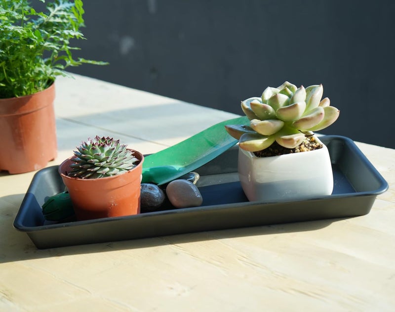 VUWEZ 2 Pack Plastic Plant Saucer, Rectangular, Indoors Outdoor, Drip Tray for Flower Pot, Windowsill (6 X 11 Inch, Black) - Image 4